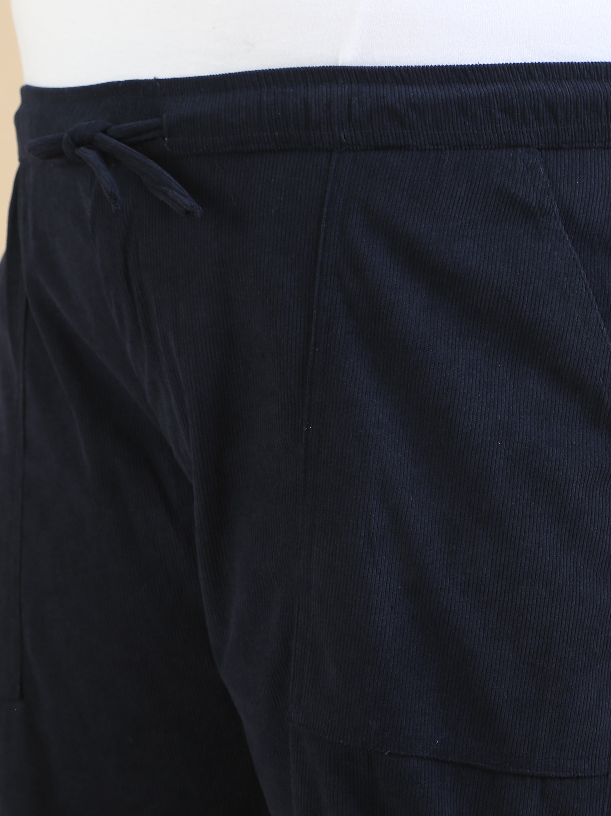 Corduroy Navy Plus size Trouser for men